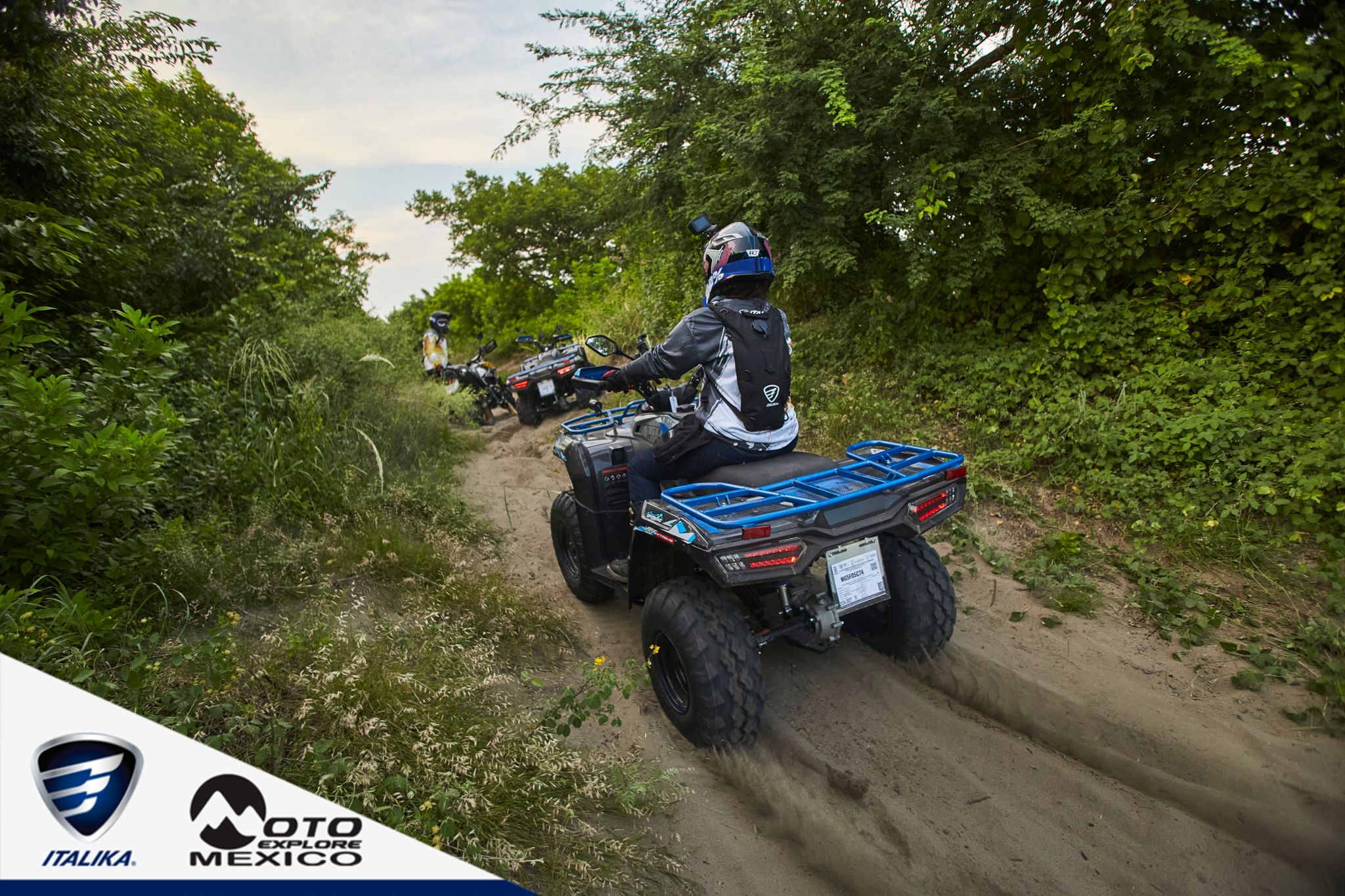 ITALIKA CHACHALACAS D1 376